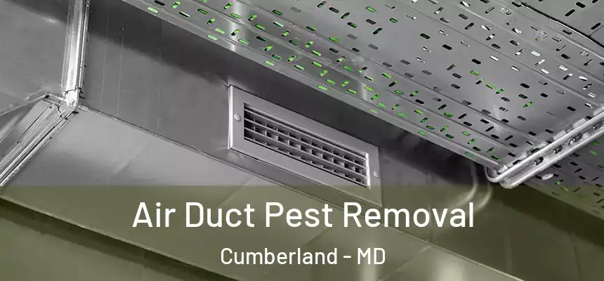 Air Duct Pest Removal Cumberland - MD
