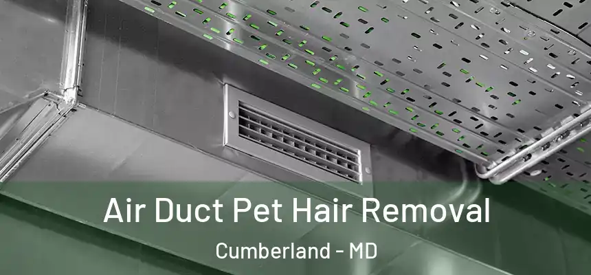 Air Duct Pet Hair Removal Cumberland - MD