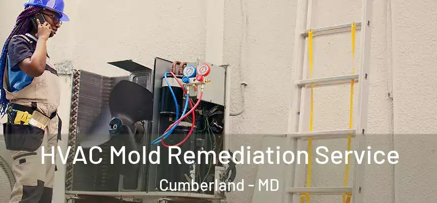  HVAC Mold Remediation Service Cumberland - MD