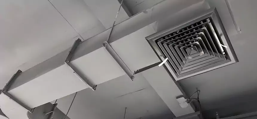 Restorative Allergy Relief Vent Cleaning – Coil, Blower & Housing Detail in Cumberland