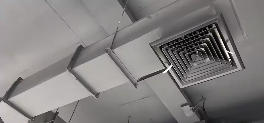 Our Pest Removal From Ducts Services in Cumberland, MD