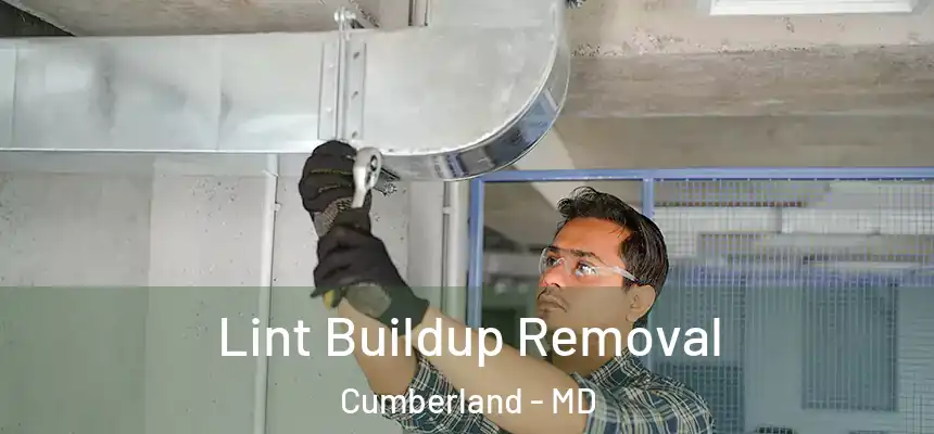  Lint Buildup Removal Cumberland - MD