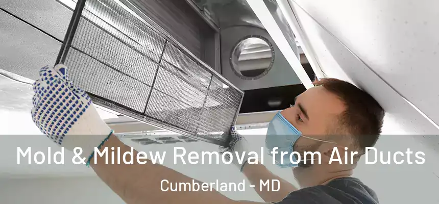 Mold & Mildew Removal from Air Ducts Cumberland - MD