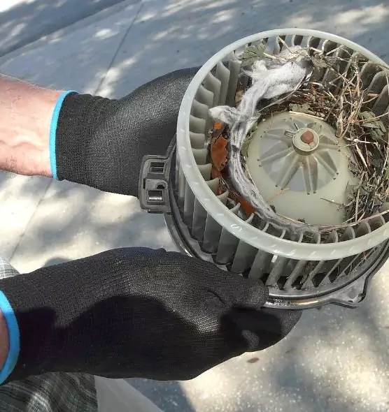 About Air Duct Mice Removal in Cumberland, MD