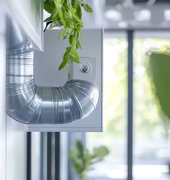 Professional Eco-Safe Dryer Vent Cleaning in Cumberland, MD