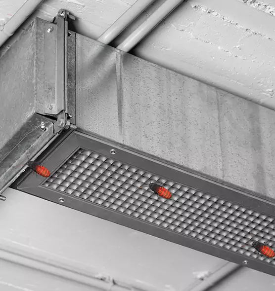 Affordable Insect Removal from Air Ducts in Cumberland, MD