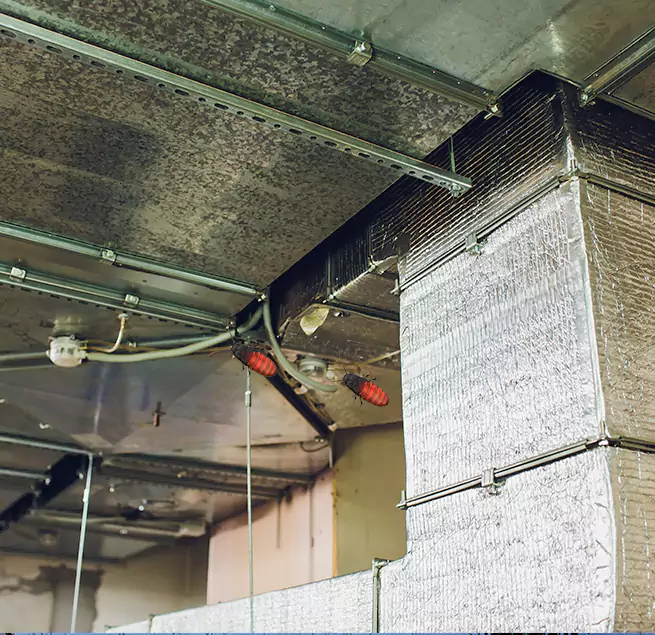 Why Homeowners & Businesses Trust Us in Cumberland, MD?