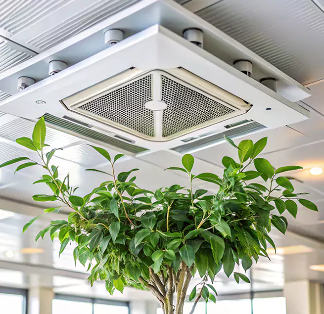 Why Homeowners & Businesses Trust Us in Cumberland, MD