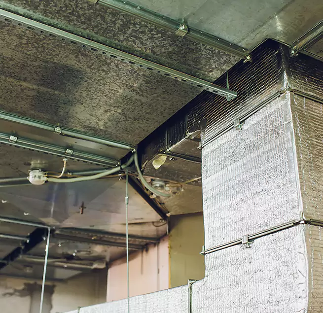 Why Homeowners & Businesses Trust Us in Cumberland, MD?